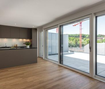 Wohntraum direkt an der Reuss mit drei Terrassen - Photo 4