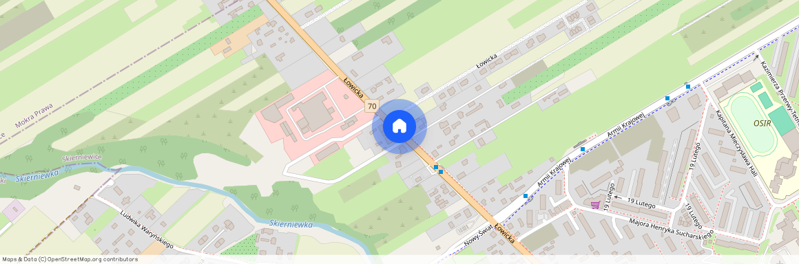 Łowicka, Skierniewice