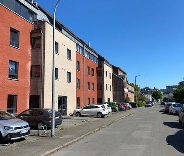 Live with the owner - 1-bedroom apartment - Foto 5