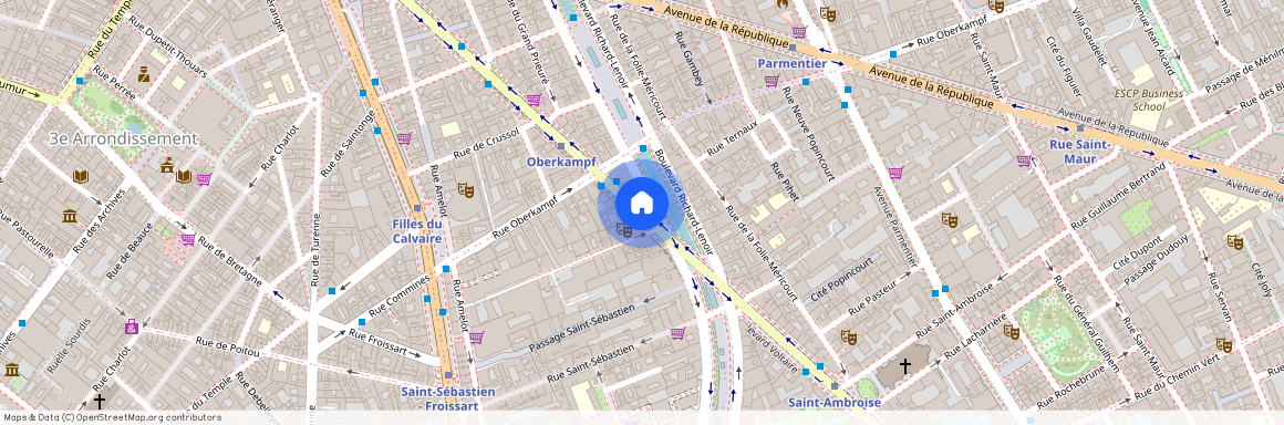 Boulevard Voltaire, entre Blvd Richard Lenoir et Av. de la Republique 75011 Paris (11e arrondissement)