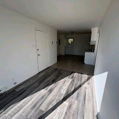 Magnifique logement 41/2 à louer - Photo 3