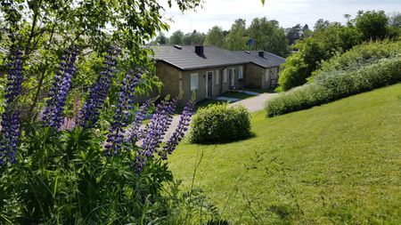 Hjortronstigen 10 C - Photo 5