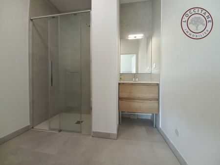 L'ISLE-JOURDAIN (32600) - Photo 5