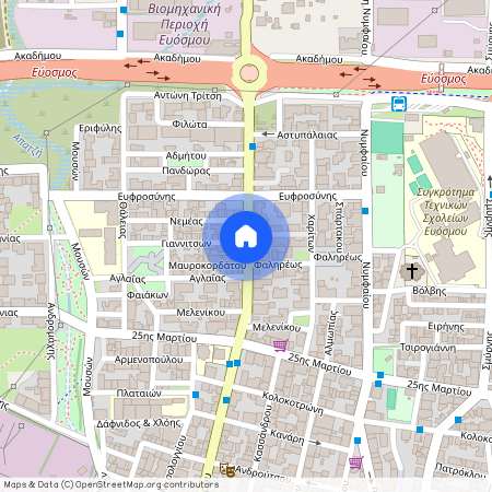 Μαιάνδρου, 87, Δημοτική Ενότητα Ευόσμου, 56226, Ελλάδα (56226), Νέα Πολιτεία (Εύοσμος)