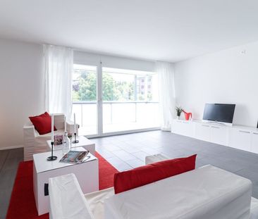 Here your search ends! - Foto 1