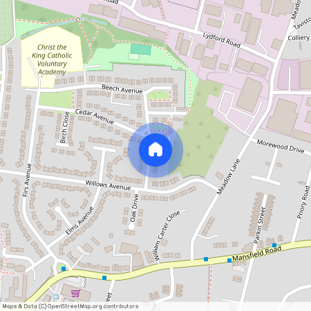 Beech Avenue, Alfreton, Derbyshire, DE55