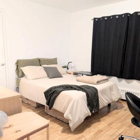 1 CH - 1 SDB - Montréal - $1,192 /mo - Photo 4