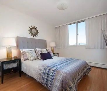 Starlight Towers — One Bedroom - Photo 4