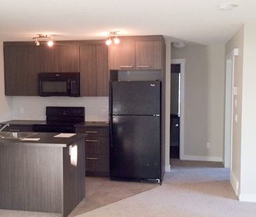2 Bedroom Apartment In Chestermere: Pet Friendly. - Photo 4