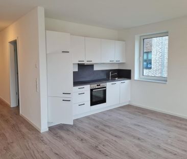 24983 Handewitt - Foto 1