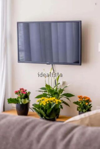 Alquiler de estudio en Calle Don Juan de Austria s/n - Photo 2