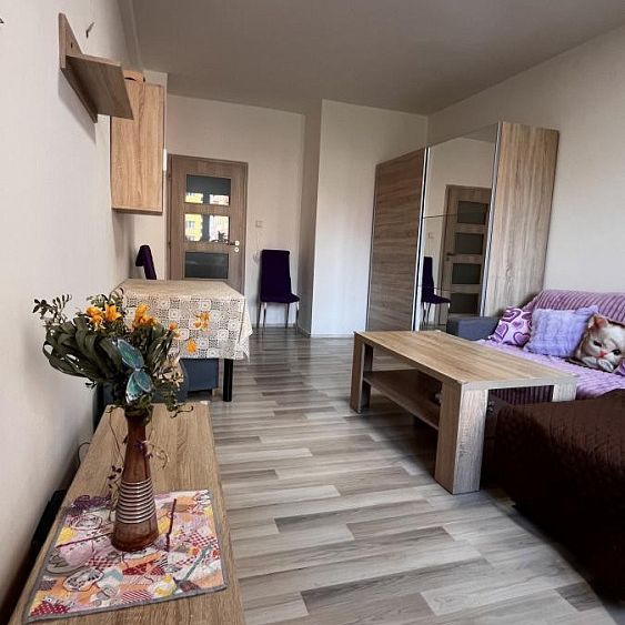 Pronájem bytu 2+1 59 m² - Photo 1