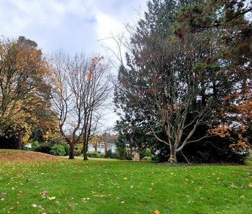 4 bedroom terraced house to rent - Photo 6