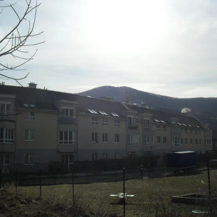 3-Zimmer-Wohnung mit Terrasse, Top 113 - Photo 1