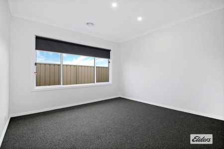 43 Cardiff Drive - Photo 3