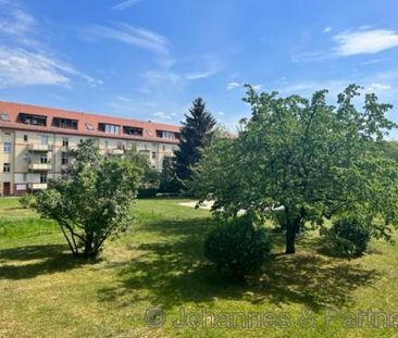 01279 Dresden - Tolkewitz , Toeplerstraße 48 WE 02 - Foto 1