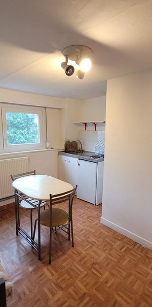 Location Appartement 1 pièce 13m² LILLE 59160 - Photo 1