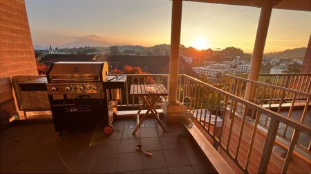 6.5-room single-family house in Adligenswil limited to 2 years - Photo 3