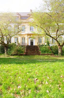 Große, exklusive barrierefreie Schlosswohnung mit modernen Einbauküchen, großem eigenem Garten, mehreren Tageslichtbädern und Park! - Photo 1