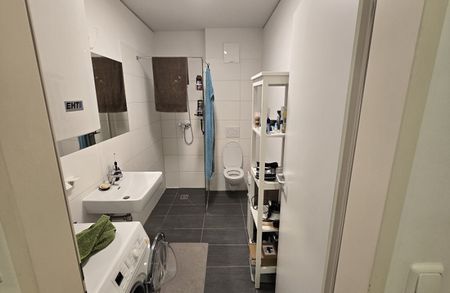 Graz-Nähe Citypark: Geförderte 2-Zimmer-Wohnung mit perfekter Infrastr - Photo 4