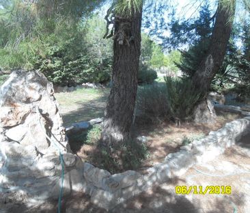 Μονοκατοικία για ενοικίαση Αθίκια (Σαρωνικός) - Photo 3