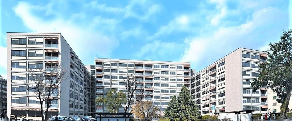 Malagnou bel appartement - Photo 1