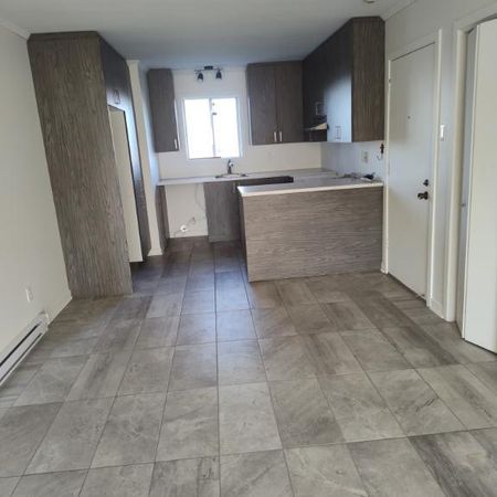 Grand 4 1/2 rénové avec aire ouverte à Ste-Julie - Photo 3