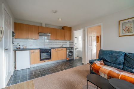 Maurice Avenue - Photo 2