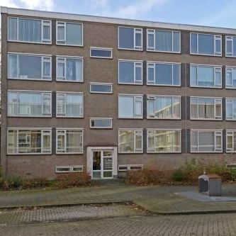 Quadenoord, 3079 Rotterdam, Nederland - Foto 2