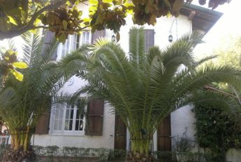 Villa a schiera via Bregoscia, 29, Marina Verde, Renella, Montignoso