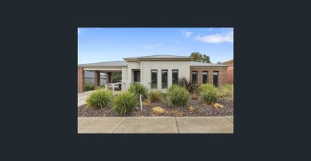 3 Showers / 6 beds across from Uni - Photo 5