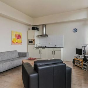 Laag Bolwerk 45 x - Foto 2