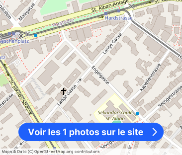 Quiet life in Gellert near Aeschenplatz - Photo 1