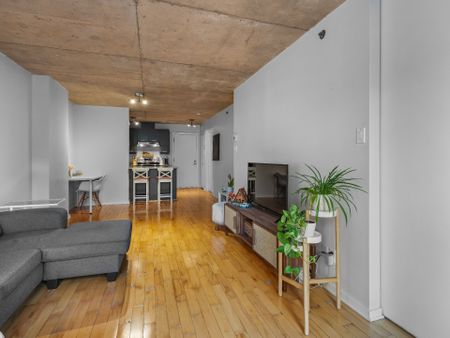 Condo for rent, Montréal (Ville-Marie) - Photo 5