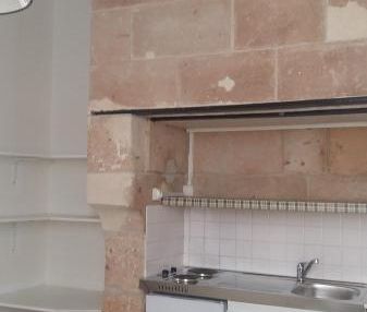 Location Appartement 1 pièce 14m² TOURS 37000 - Photo 1