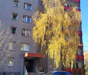 Bytom, Centrum, Wrocławska - Photo 4