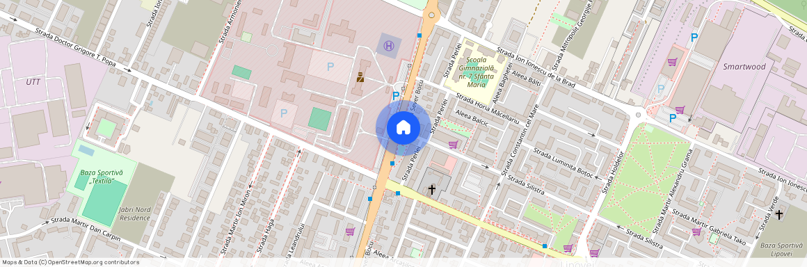 Timis, Timisoara
