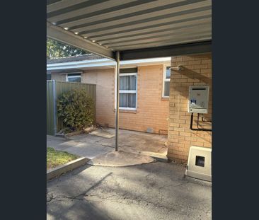 Peaceful, Private & Comfortable Unit - Photo 1