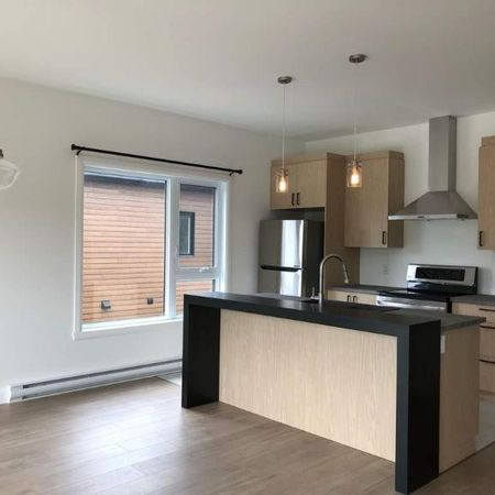 Appartement 4 1\2 Rez-de-chaussée - Photo 3