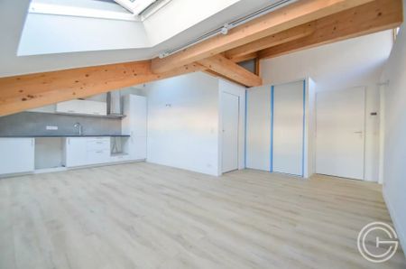 APPARTEMENT 2 PIECES VIDE AVEC CLIMATISATION - 43 ARBRE INFERIEUR - - Photo 5