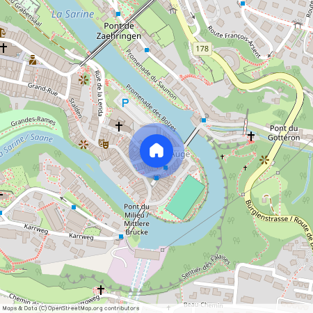 1700, FRIBOURG, Rue d'Or, 16