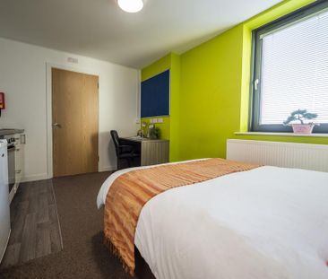 1 bedroom apartment to rent - Photo 5