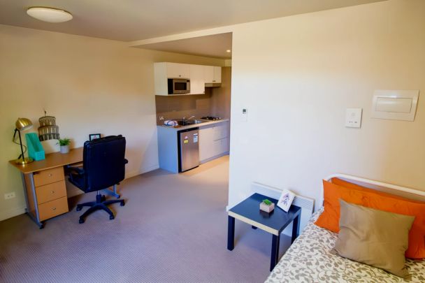 Large Studio - Photo 1