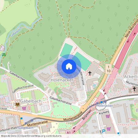 3027, Bern, Holenackerstrasse, 37