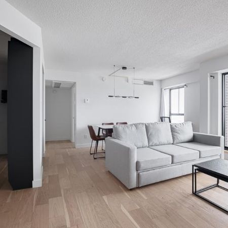 3 ½ entièrement meublé à louer Saint-Jean-Baptiste février 2026 - Photo 3