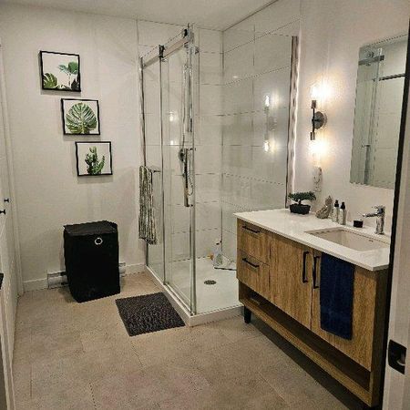logement a louer - Photo 4