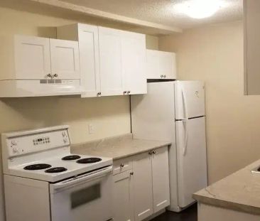 GORGEOUS & RENOVATED TWO Bedroom Condo with In-Suite Laundry & DISH... - Photo 1