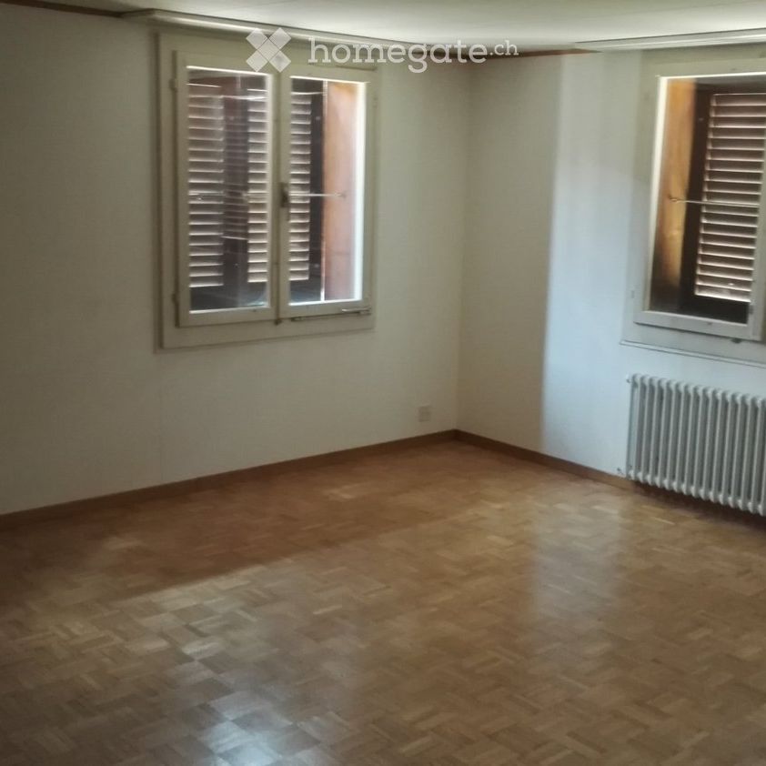 Sie suchen eine aussergewöhnliche Parterrewohnung - Foto 1