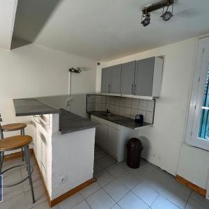 Location Appartement 1 pièce 41m² ST LAURENT SUR SAONE 01750 - Photo 2