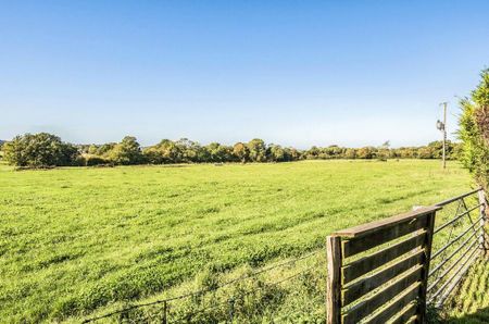 4 bedroom semi-detached house to rent - Photo 4